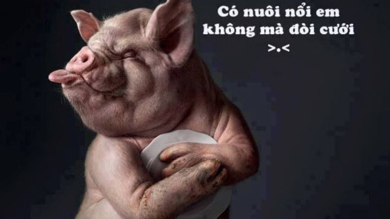 Những hình nền chữ hài hước - Hình số 8