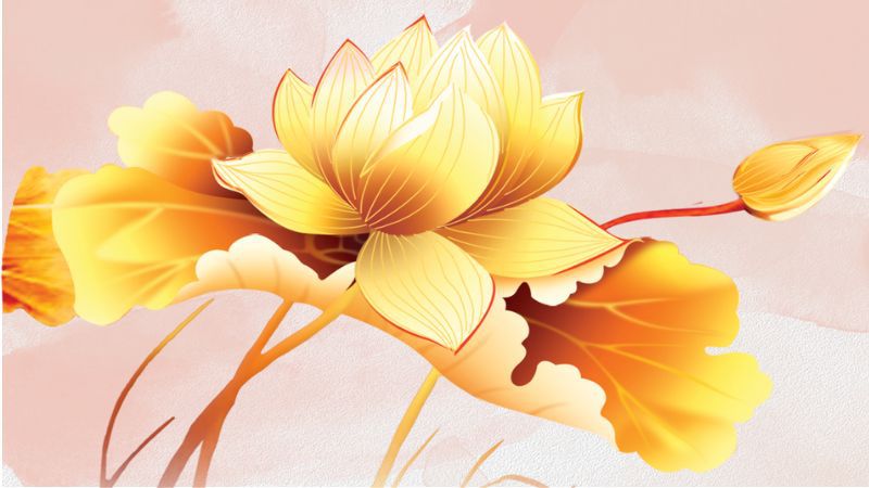 Những hình nền hoa sen mệnh kim- Hình số 3
