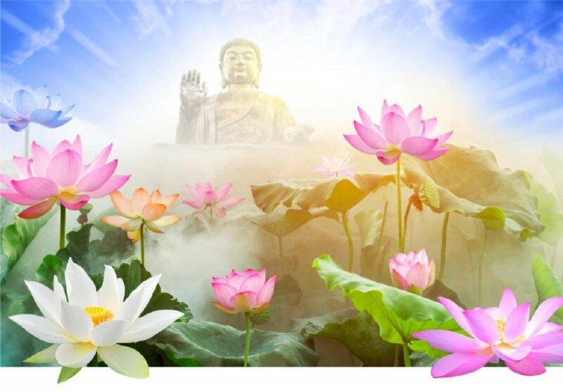 Tổng hợp những hình nền hoa sen phật pháp- Hình số 1