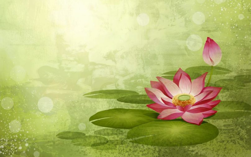 Tổng hợp những hình nền hoa sen phật pháp- Hình số 3