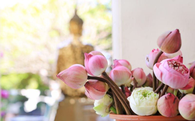 Tổng hợp những hình nền hoa sen phật pháp- Hình số 8