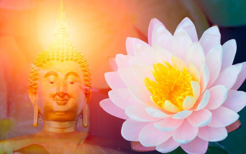 Tổng hợp những hình nền hoa sen phật pháp- Hình số 9