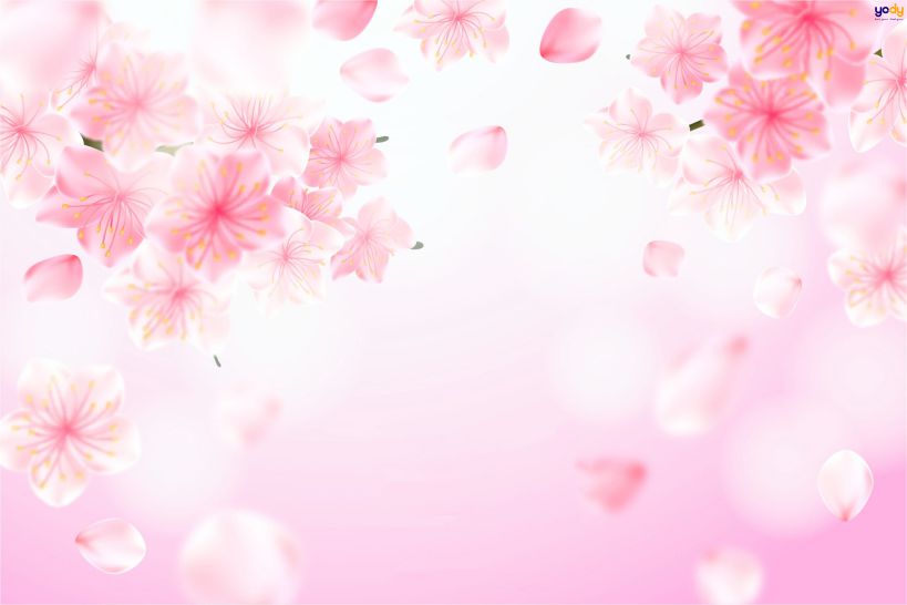 Những hình nền màu hồng phấn - Hình số 2