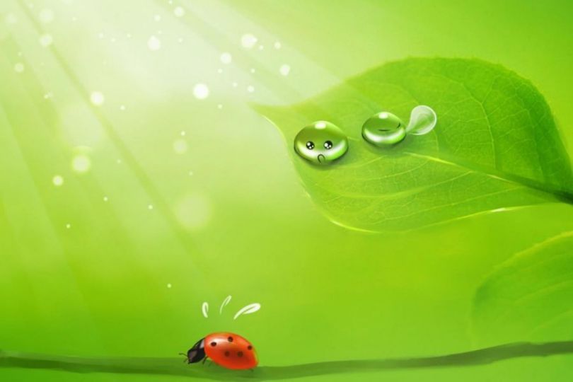 Tuyển tập hình nền màu xanh lá - Hình số 4
