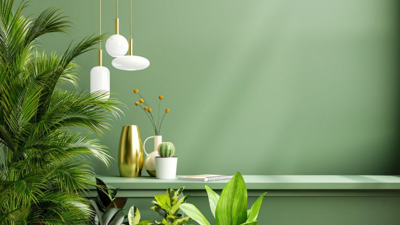 Tuyển tập hình nền màu xanh lá - Hình số 5