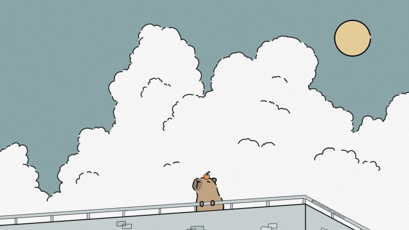 Những hình nền máy tính cute capybara - Hình số 4