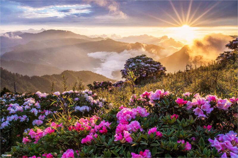 Những hình nền máy tính dễ thương 4k - Hình số 10