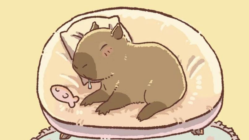 Những hình ảnh capybara vô tri cute - Hình số 9