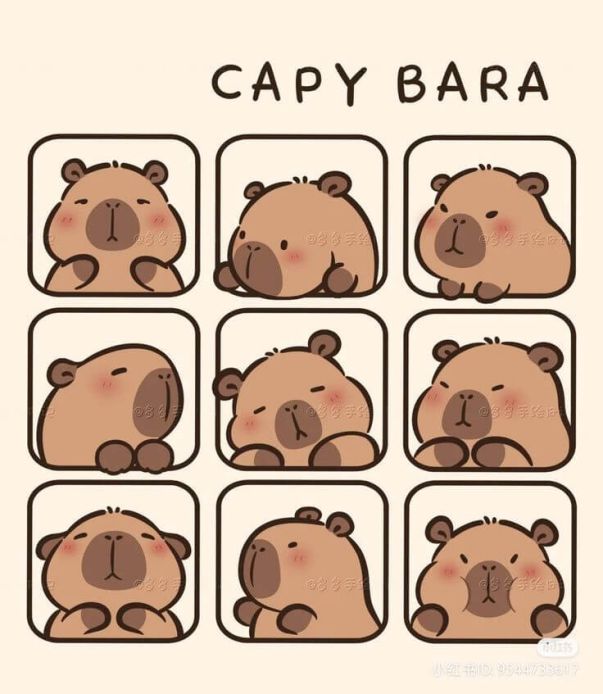Những hình ảnh capybara vô tri cho điện thoại - Hình số 7