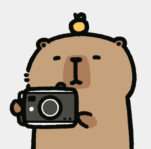 Những hình ảnh capybara vô tri cho điện thoại - Hình số 8