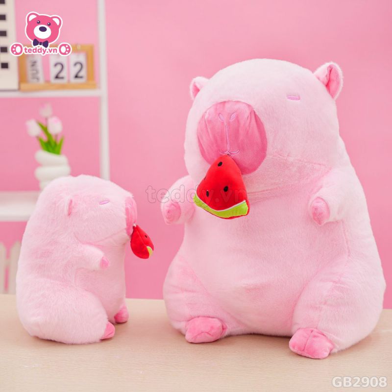 Những hình ảnh capybara vô tri màu hồng - Hình số 6