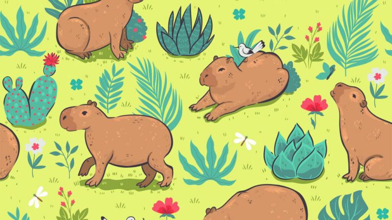 Những hình nền máy tính 4k cute capybara - Hình số 5