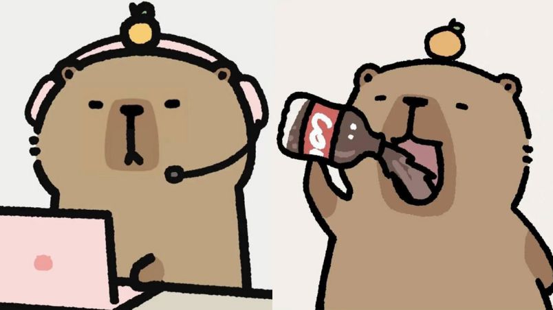 Những hình nền máy tính 4k cute capybara - Hình số 8