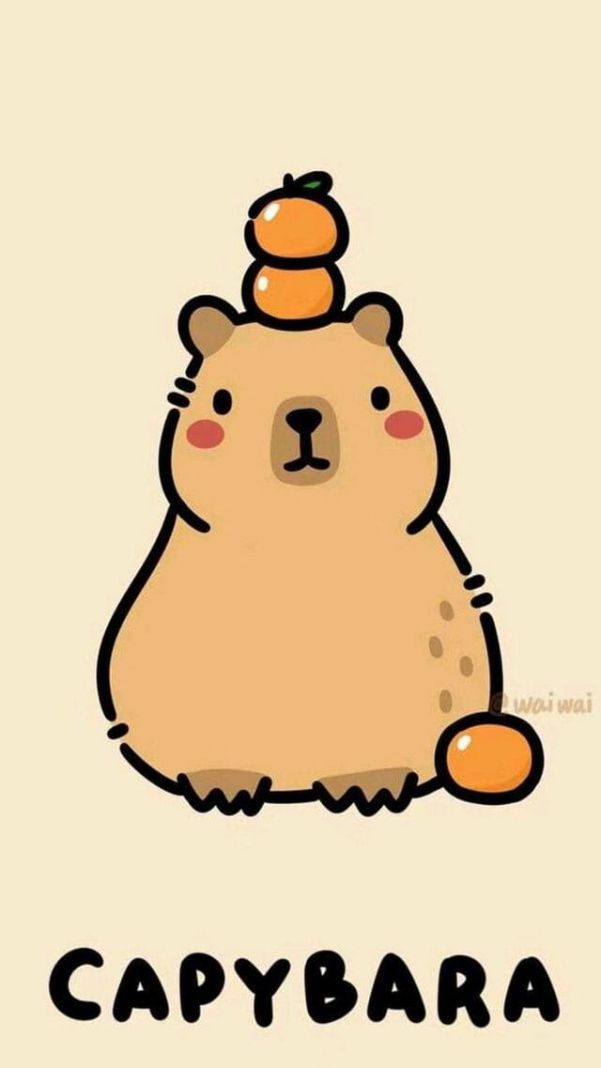 Những hình nền điện thoại capybara vô tri - Hình số 10