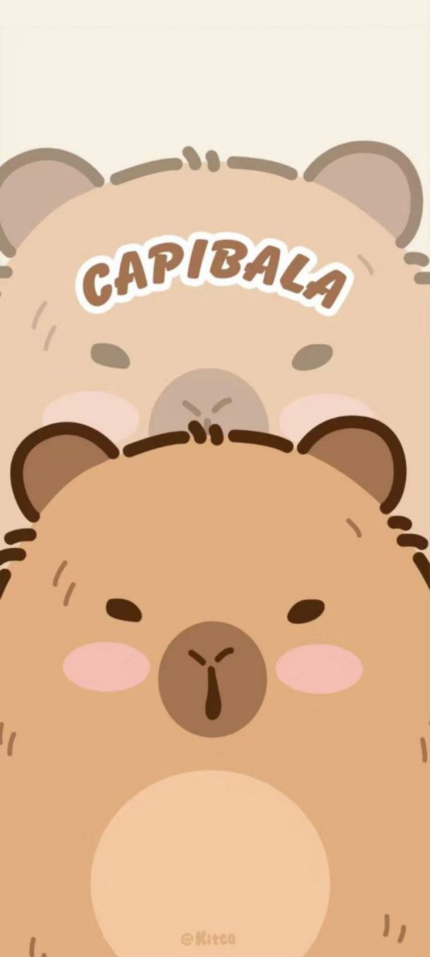 Những hình nền điện thoại capybara cute - Hình số 10