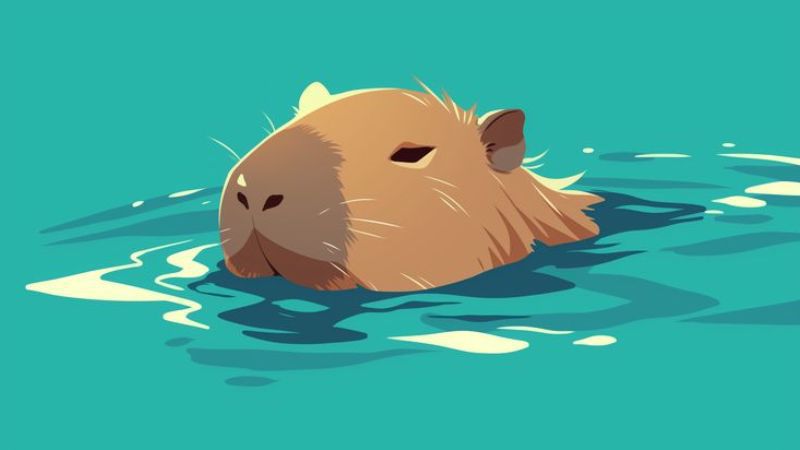 Những hình nền máy tính 4k 1920x1080 capybara - Hình số 6