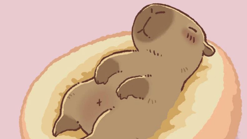 Những hình ảnh capybara vô tri chibi - Hình số 5