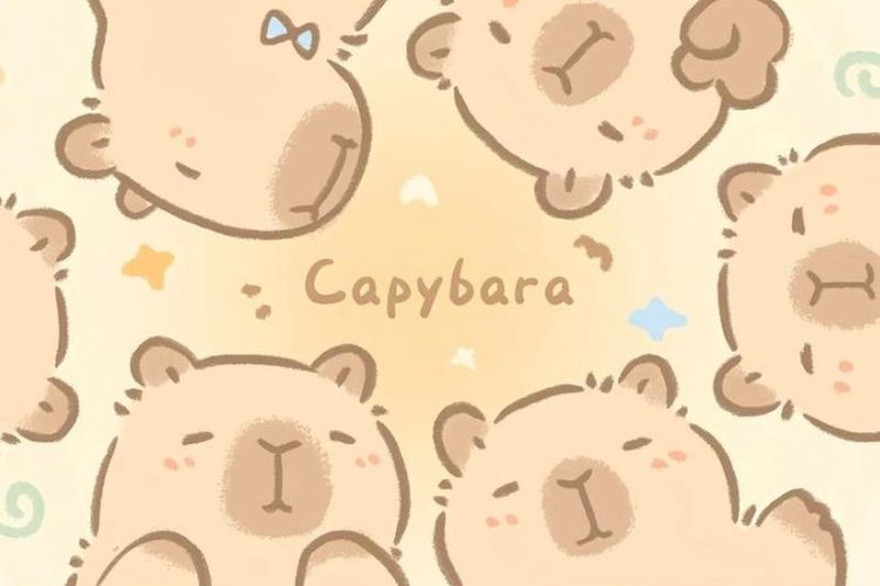 Những hình ảnh capybara vô tri chibi - Hình số 6