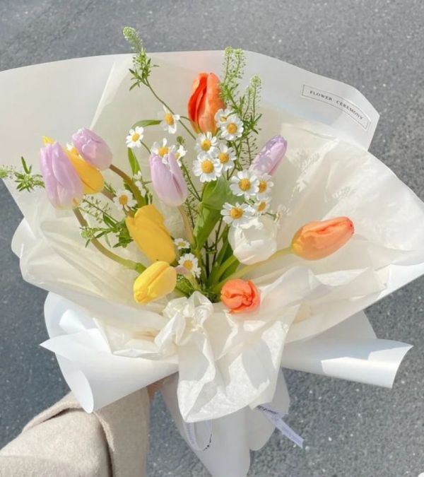 Những hình nền điện thoại hoa tulip chill - Hình số 6