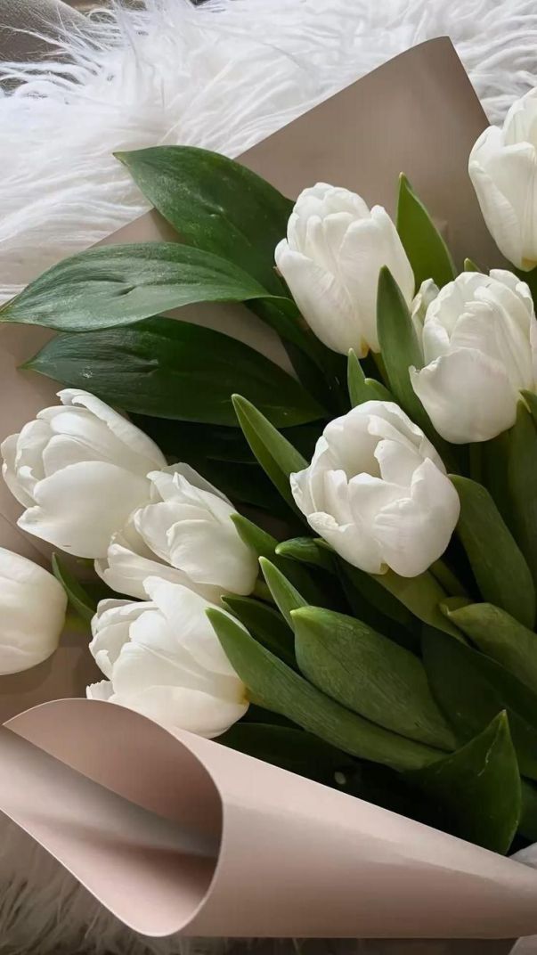 Những hình nền điện thoại hoa tulip cute - Hình số 10