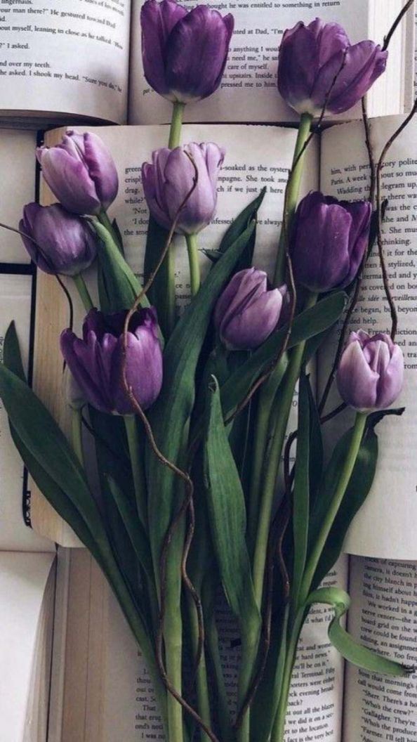 Những hình nền điện thoại hoa tulip cute - Hình số 8