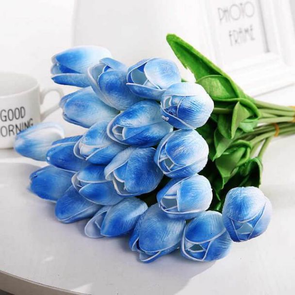 Những hình nền điện thoại hoa tulip màu xanh - Hình số 10