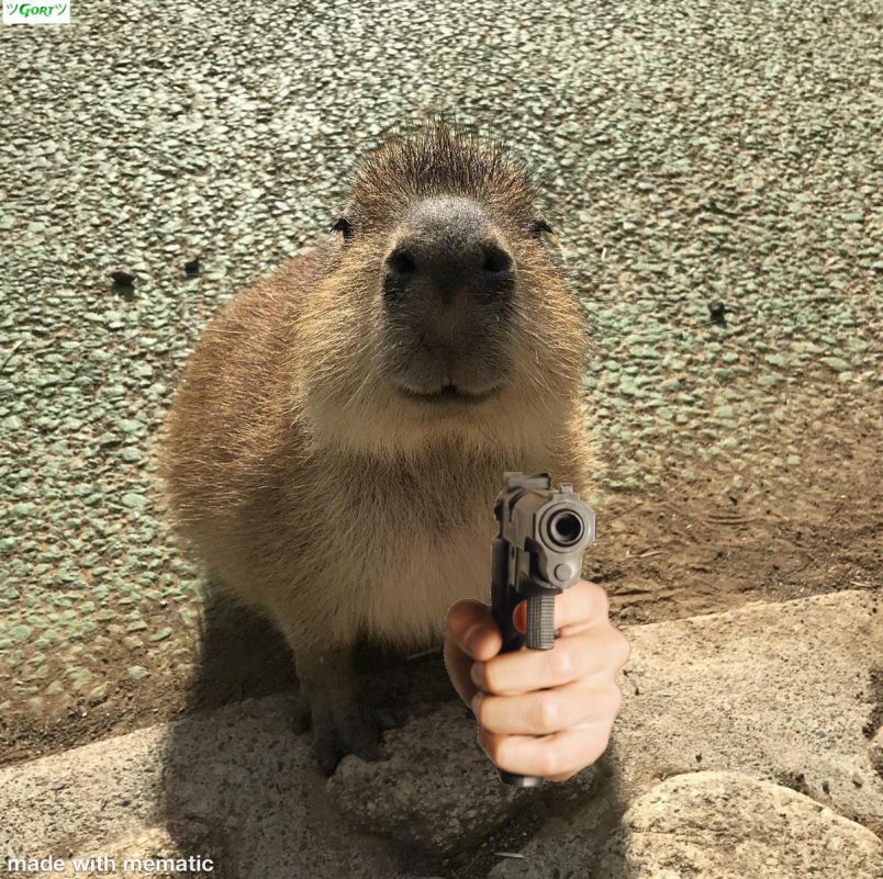 Những hình ảnh capybara vô tri meme - Hình số 2