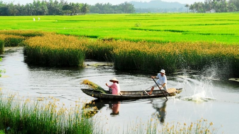 Những hình nền phong cảnh đồng quê - Hình số 10