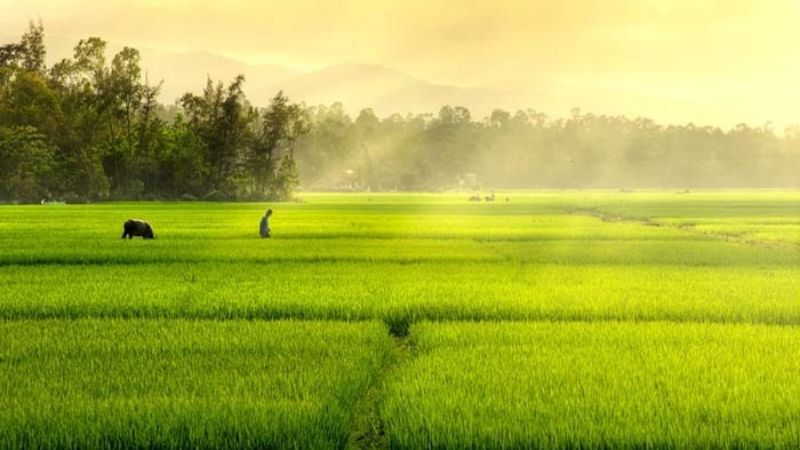 Những hình nền phong cảnh đồng quê - Hình số 3