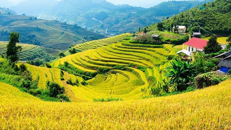 Những hình nền phong cảnh đồng quê - Hình số 6