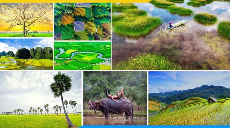 Những hình nền phong cảnh đồng quê - Hình số 9
