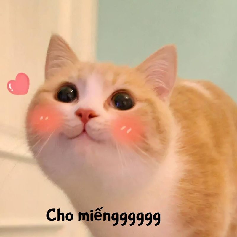 Những hình nền meme cute - Hình số 3