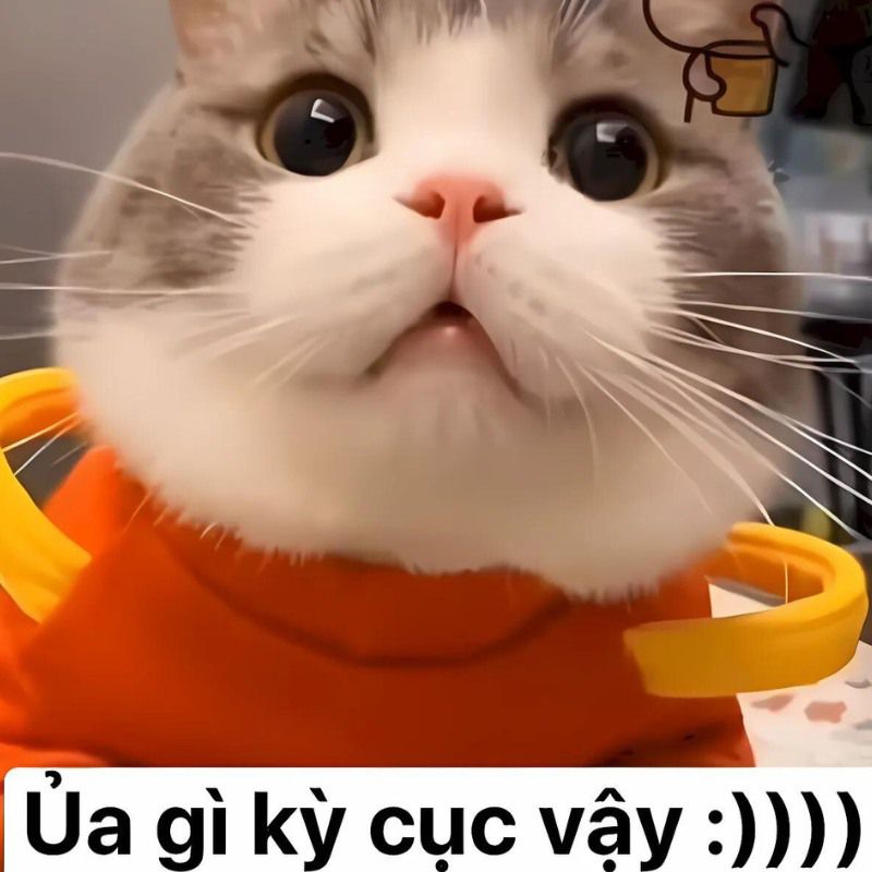 Những hình nền meme cute - Hình số 7