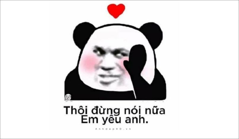 Những ình nền meme gấu trúc - Hình số 1