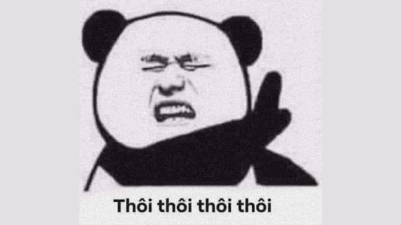 Những ình nền meme gấu trúc - Hình số 3