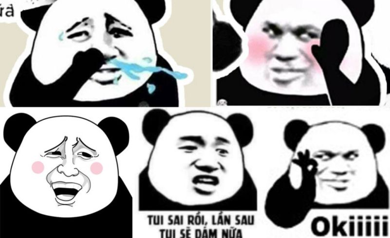 Những ình nền meme gấu trúc - Hình số 8