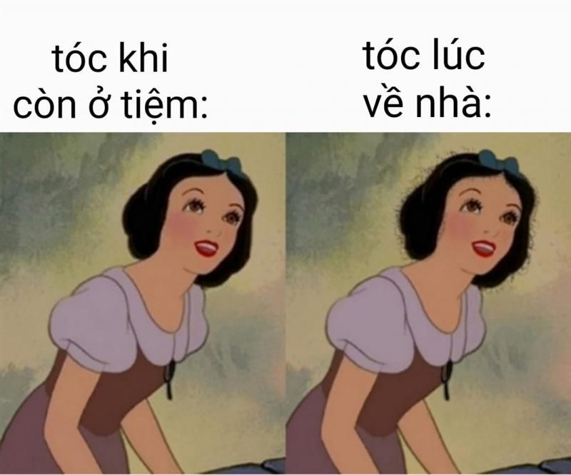 Những hình nền meme hài hước - Hình số 6