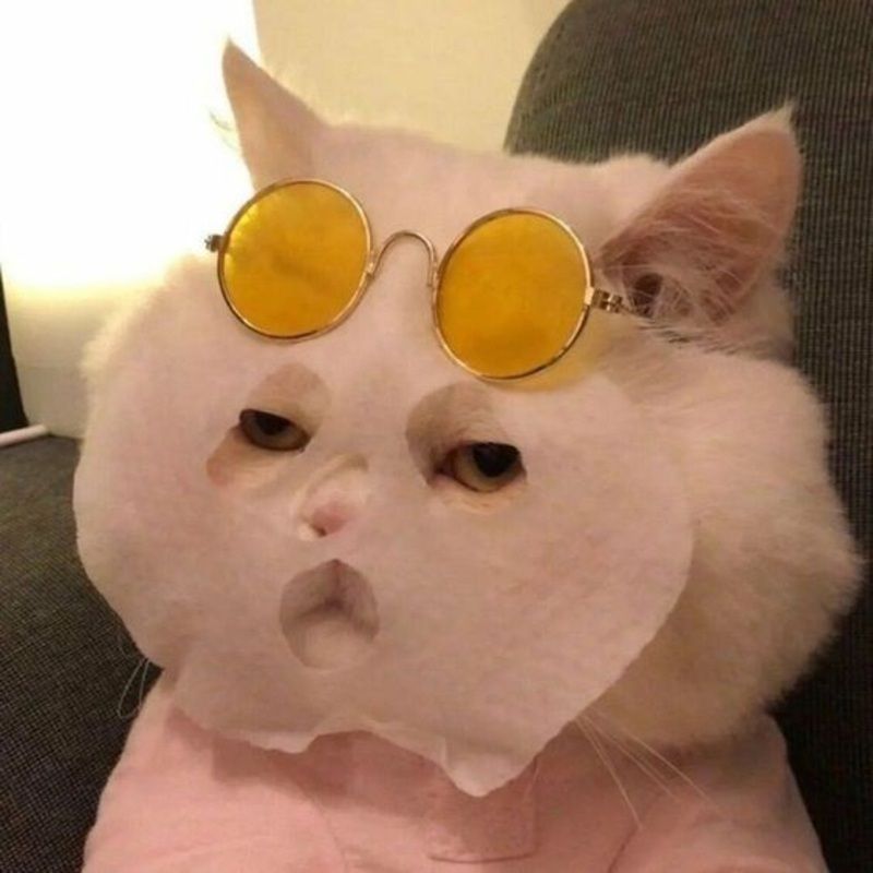Những hình nền meme vô tri - Hình số 3