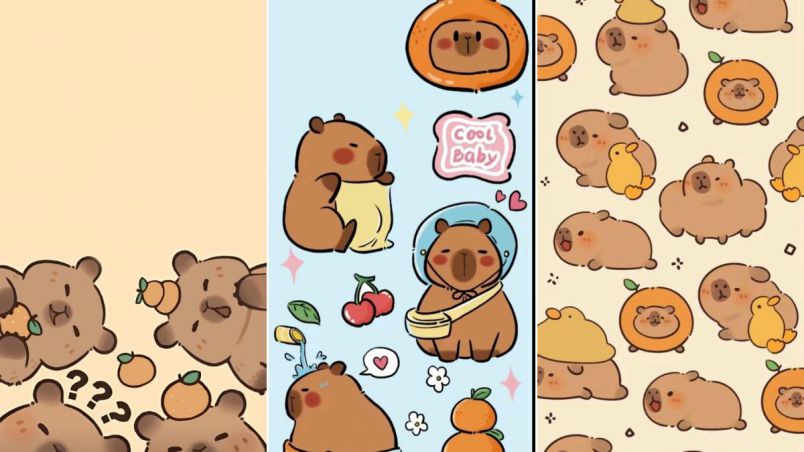 Những hình nền đẹp 3d cute capybara - Hình số 5