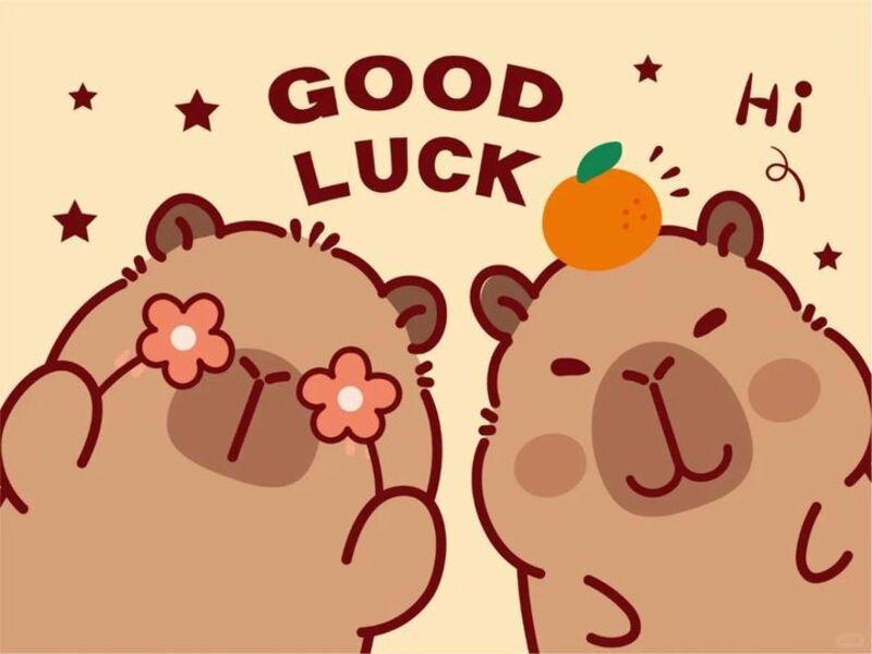 Những hình nền đẹp 3d cute capybara - Hình số 7