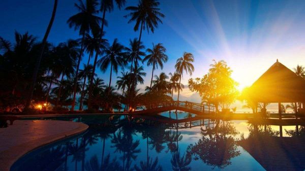 Những hình nền chill cho điện thoại - Hình số 2