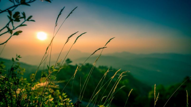 Những hình nền chill cho máy tính - Hình số 8