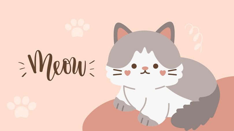 Những hình nền zalo cute - Hình số 6