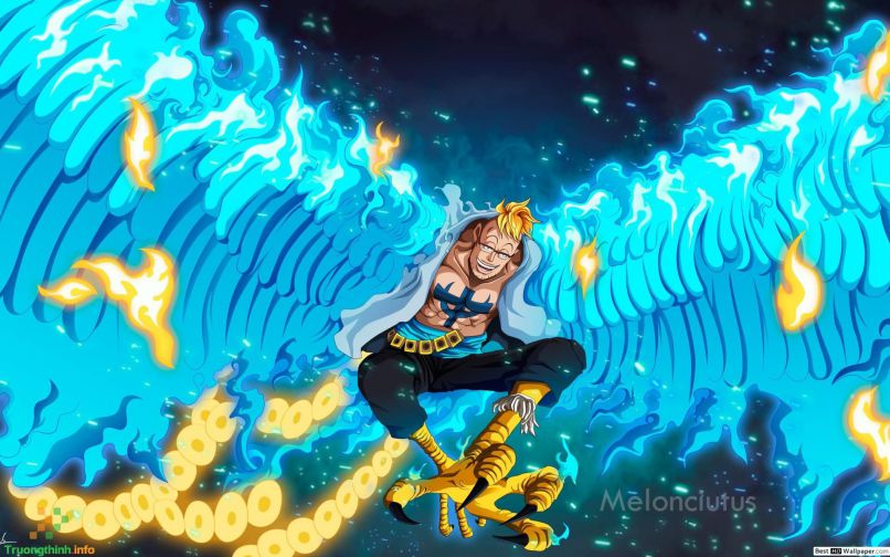 Những ình nền one piece ngầu - Hình số 6