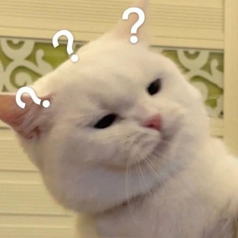 Những hình nền meme cho máy tính - Hình số 4
