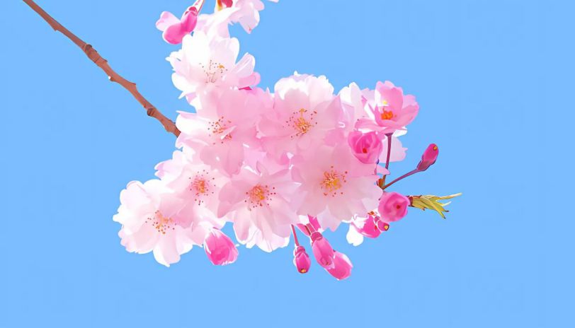 Những hình nền hoa cho máy tính - Hình số 4