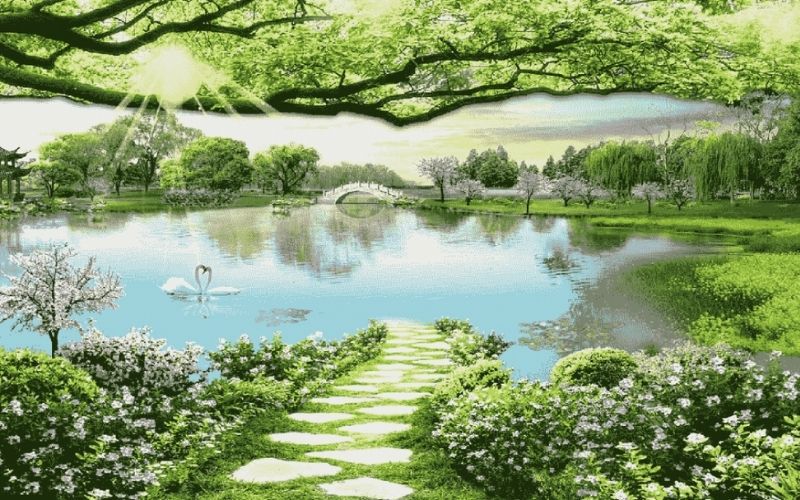 Những hình nền may mắn cho mệnh mộc - Hình số 5