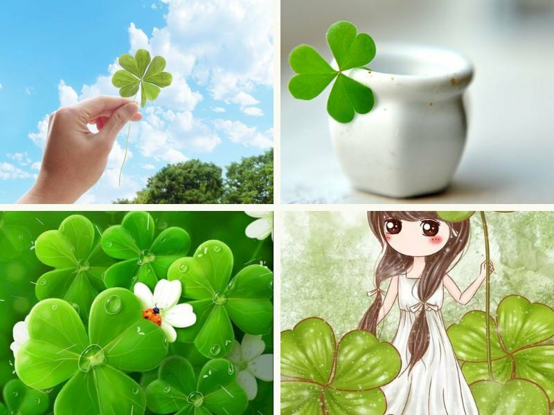 Những hình nền zalo may mắn - Hình số 5