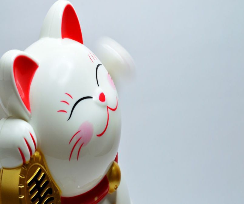 Những hình nền mèo thần tài - Hình số 4