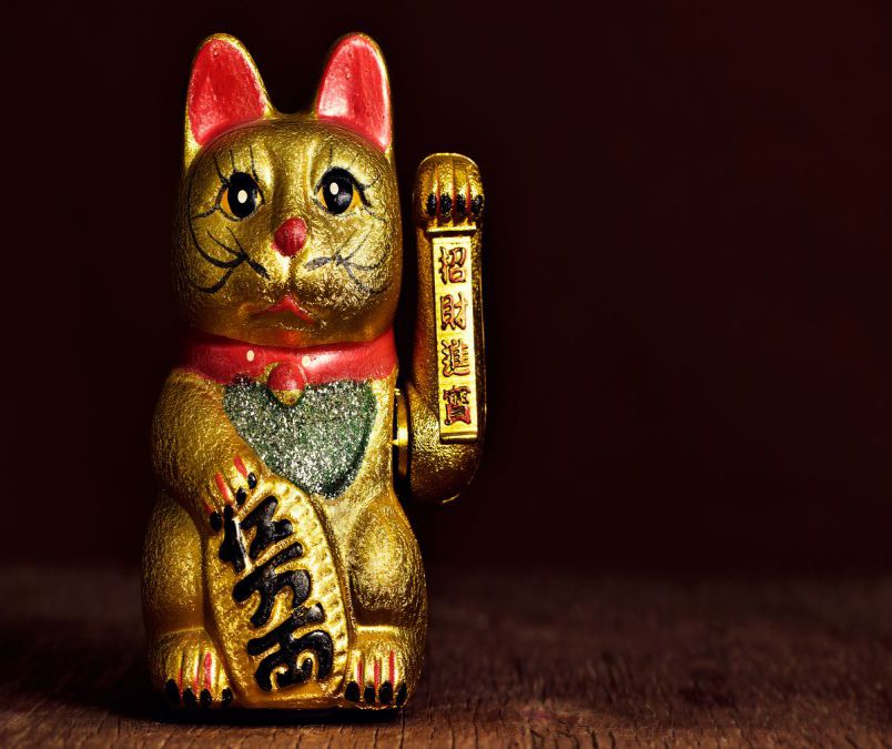 Những hình nền mèo thần tài - Hình số 7